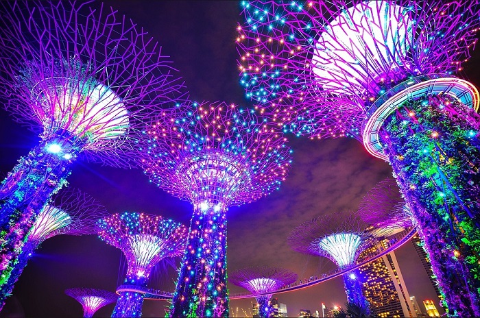 gardens by the bay