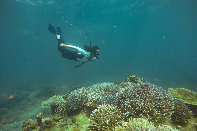 scuba diving, Thailand