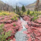 national parks near las vegas